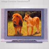 HITACHI Full Multi System TV 21"